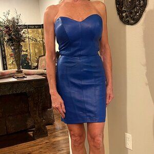 North Beach Leather Strapless Dress (Size XS)